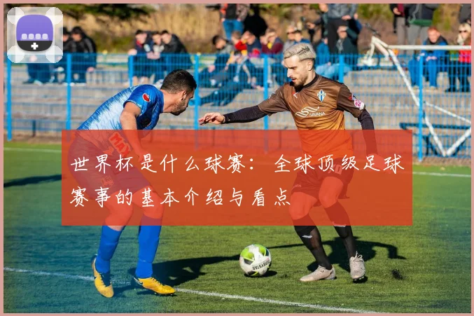 世界杯是什么球赛:全球顶级足球赛事的基本介绍与看点