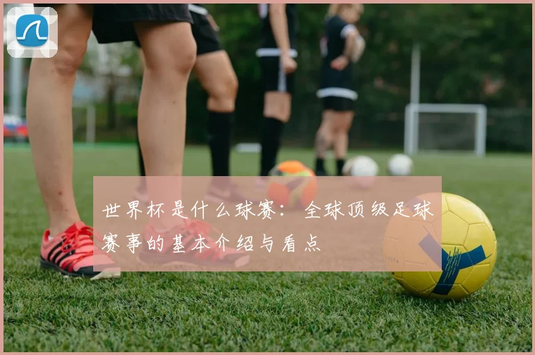 世界杯是什么球赛:全球顶级足球赛事的基本介绍与看点