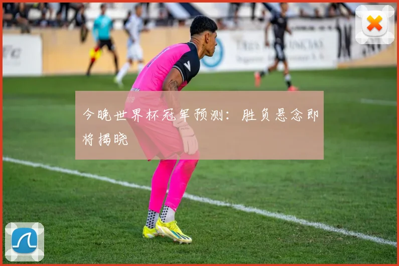 今晚世界杯冠军预测：胜负悬念即将揭晓