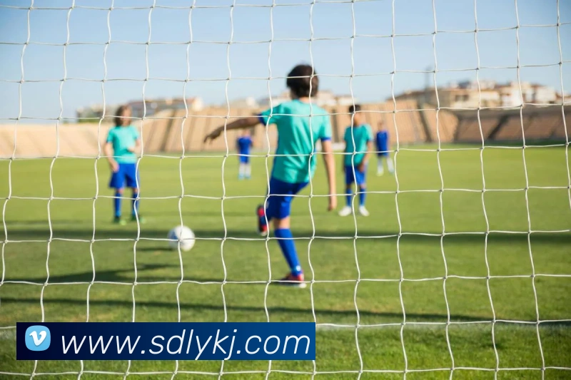 mksports官方商城APP 封面图